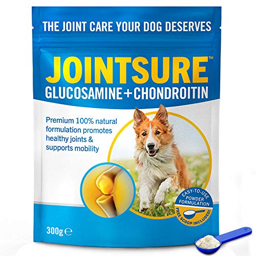 JOINTSURE Bolsa Grande de 300g glucosamina y condroitina para Perros. Polvo 100% Puro y Natural – Sin aditivos. De acción y absorción rápida. Cuchara medidora incluida.