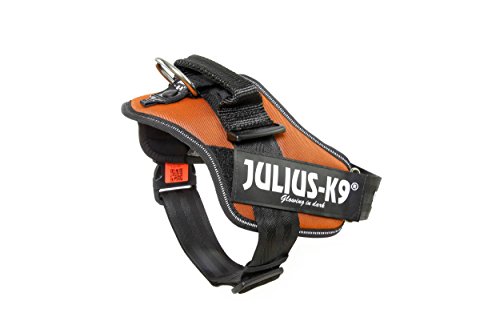 Julius-K9 16IDC - Power Harness