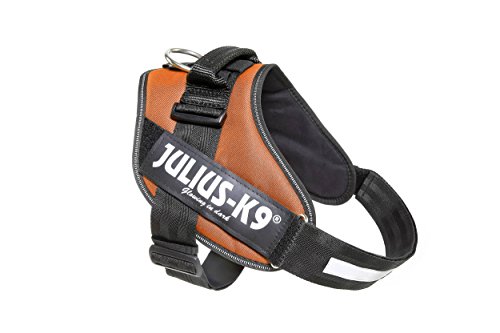 Julius-K9 16IDC - Power Harness