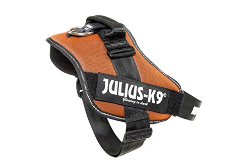 Julius-K9 16IDC - Power Harness