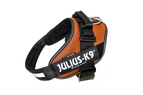 Julius-K9 16IDC - Power Harness