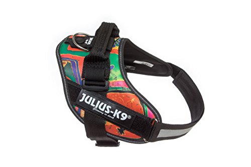 Julius-K9 16IDC - Power Harness