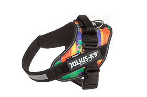 Julius-K9 16IDC - Power Harness