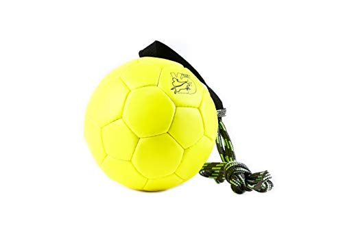 Julius-K9 KORA1 Show Training Ball 170 mm, Un tamaño