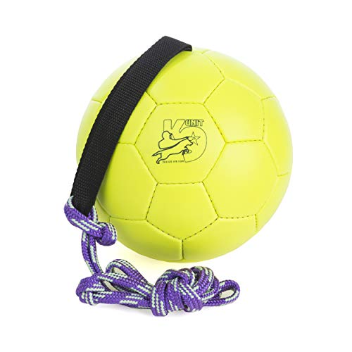 Julius-K9 KORA1 Show Training Ball 170 mm, Un tamaño