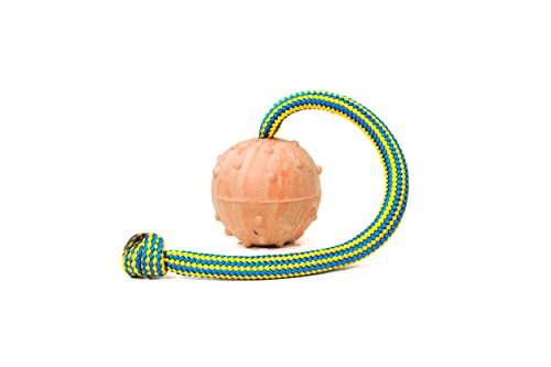 Julius-K9 Pelota de Goma Natural con Nudo, 242BLK-50