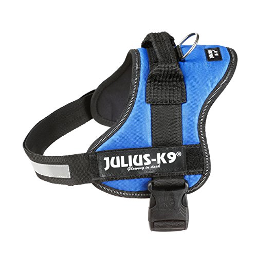 Julius-K9, Talla 0, 58-76 cm, Azul