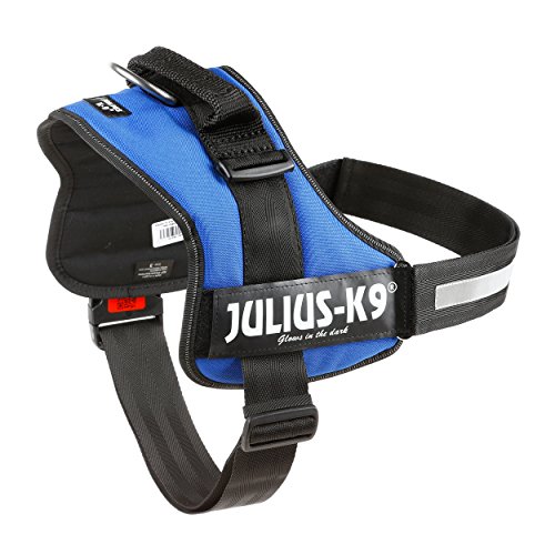 Julius-K9, Talla 3, 82-118 cm, Azul