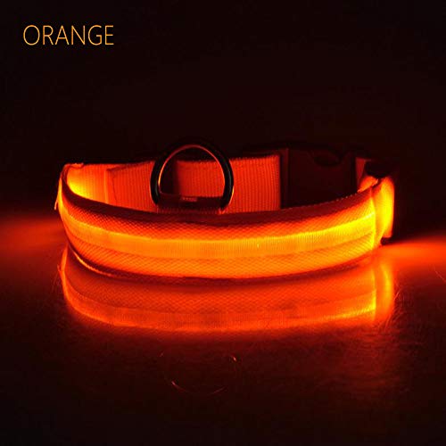 JUNSHUO Collar para Perro(LED Recargable),de Nylon, para Perros Grandes, medianos y Pequeños | obtenible en Distintos Colores y Tamaños，Collar para Gatos Ajustable（ 34-52cm） Parpadeo (L, Naranja)