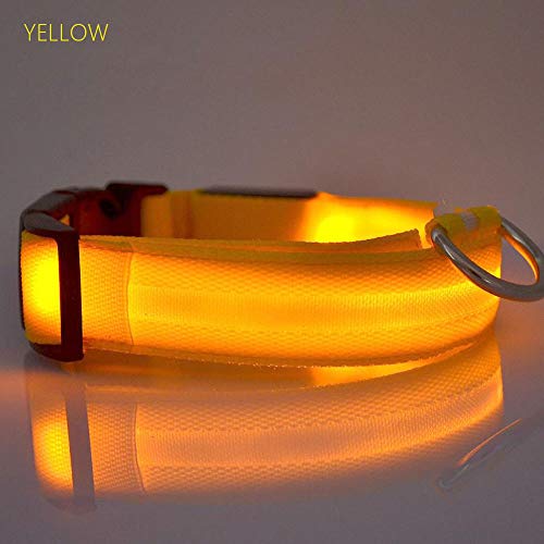 JUNSHUO Collar para perro(LED recargable),de Nylon, Perros Grandes, medianos y Pequeños | obtenible en Distintos Colores y Tamaños，Collar para Gatos ajustable（ 34-52cm）Parpadeo luminoso (S, AMARILLO)