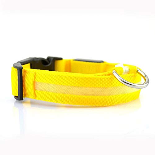 JUNSHUO Collar para perro(LED recargable),de Nylon, Perros Grandes, medianos y Pequeños | obtenible en Distintos Colores y Tamaños，Collar para Gatos ajustable（ 34-52cm）Parpadeo luminoso (S, AMARILLO)