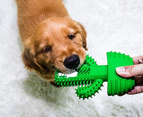 JYZT Cepillo De Dientes para Perros con Forma De Cactus Fragancia De Leche bastón Molar para Mascotas Hueso De Juguete Cuidado Bucal Juguete Vocal Verde 16 × 10 × 3.5cm