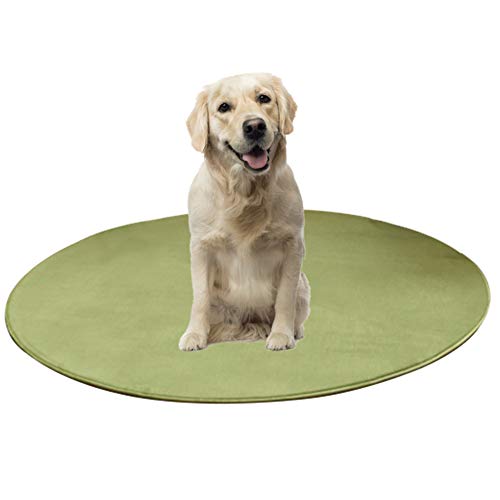 JZTRADE Alfombra Refrescante Perro Colchon Refrigerante para Perros Mascota de Mat Caja Mat Almohadilla de refrigeración para Perros Perro de formación Green,s