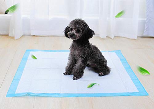 Kalavika - Alfombra educadora para Perros, Absorbente desechable para Aprender a la Limpieza de Animales, Color Azul