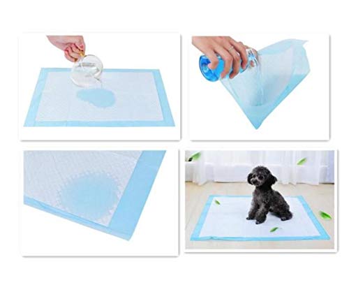 Kalavika - Alfombra educadora para Perros, Absorbente desechable para Aprender a la Limpieza de Animales, Color Azul