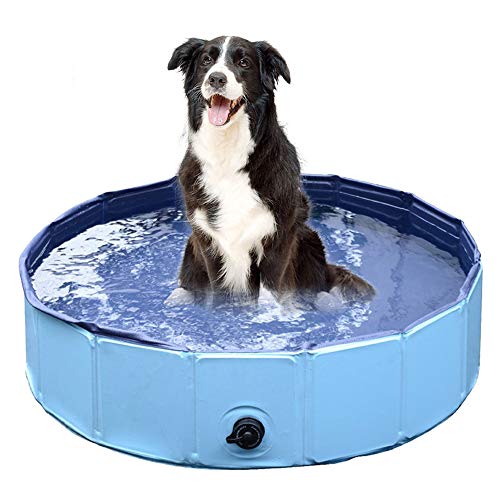 Kimmyer Piscina de natación para Perros Accesorios Piscinas Pet Grandes Suministros de Ducha de plástico para Gatos para niños pequeño Estanque de Conejillo de Indias Retriever de Oro Plegable Duro