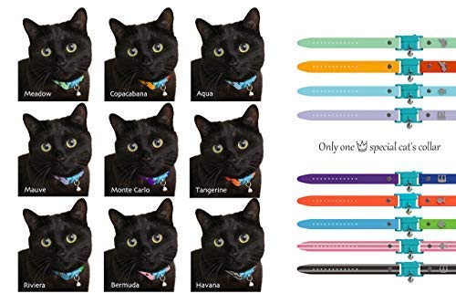 Kittyrama Visto en Vogue. Collar para Gato Meadow Galardonado 'Cat Friendly'