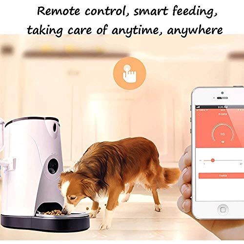 KSW_KKW 4 Capacidad de Alta alimentador Litro Animal doméstico del Gato y del Perro automático con la alimentación Normal de la cámara de Red Inteligente Interactivo