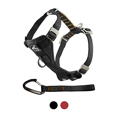 Kurgo Arnés para Perro Tru-Fit - Arnés de Paseo para Perros - Incluye Clip Frontal para Arnés de Entrenamiento Sin Tirones y Correa de Coche para Perros con Mosquetón de Seguridad - Negro