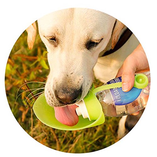 laamei Bebedero para Mascotas Portátil Botellas de Agua para Perros Gatos Dispensador de Agua Adecuado para al Aire Libre, Caminar, Viajar (Rosa) (Verde)