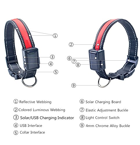 LaiXin Collar de Perro LED, Collar de Cuello de Nylon Flexible y Ajustable para Perros, USB y Solar Recargable Reflectante Impermeable Dog Collar para Medio Perros, Azul, M