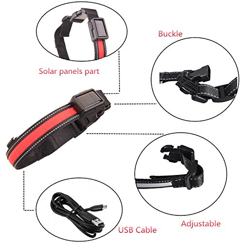 LaiXin Collar de Perro led Recargable, Nylon Collar de Seguridad para Perros Ajustable Impermeable Recargable por Cable USB y Solar para Grandes Perros, Amarillo, L