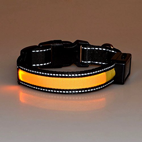 LaiXin Collar de Perro led Recargable, Nylon Collar de Seguridad para Perros Ajustable Impermeable Recargable por Cable USB y Solar para Grandes Perros, Amarillo, L