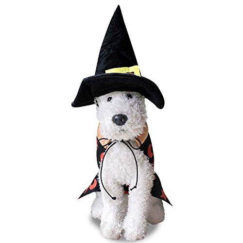 Lanlan Ting Halloween Bruja Capa Ropa Perro Gato Invierno, Mascota Cosplay Fiesta Divertido Disfraces Sudaderas Suéter Vestido para pequeños Animal Accesorios (L)