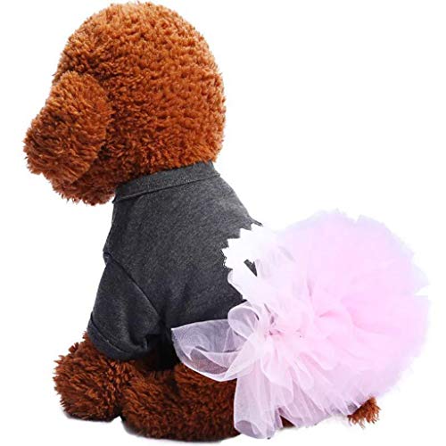 LANSKIRT Ropa Perro Pequeño Falda de Mascota Vestido de Princesa Perro de Peluche Jersey Cómoda Camisas Deportiva Informal Abrigos