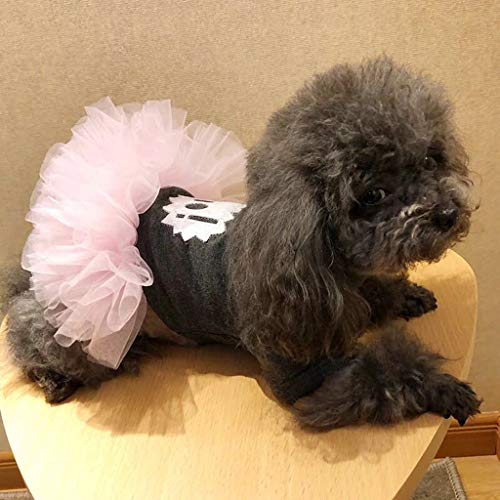 LANSKIRT Ropa Perro Pequeño Falda de Mascota Vestido de Princesa Perro de Peluche Jersey Cómoda Camisas Deportiva Informal Abrigos