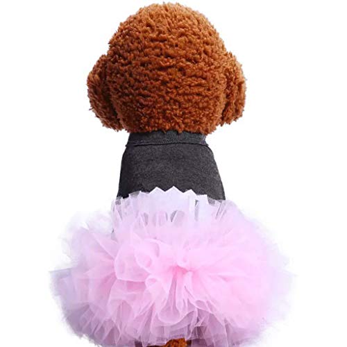 LANSKIRT Ropa Perro Pequeño Falda de Mascota Vestido de Princesa Perro de Peluche Jersey Cómoda Camisas Deportiva Informal Abrigos