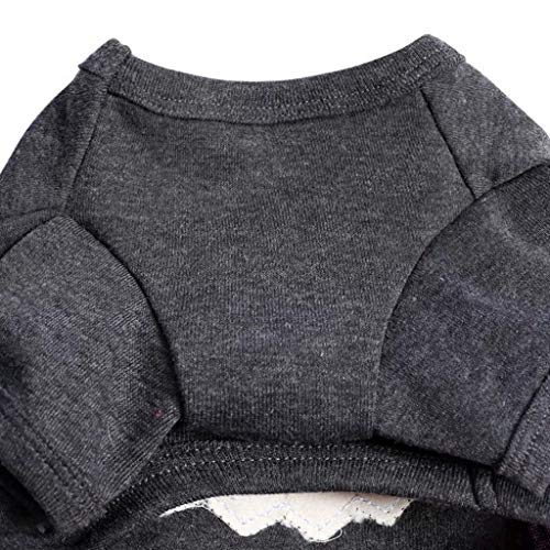 LANSKIRT Ropa Perro Pequeño Falda de Mascota Vestido de Princesa Perro de Peluche Jersey Cómoda Camisas Deportiva Informal Abrigos