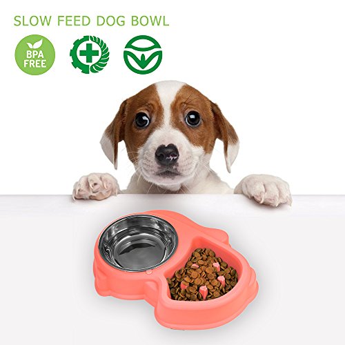 LIFEZONNY Cuenco Doble del Acero Inoxidable del Perro, Envase de Agua Interactivo Alimento para el Gato Pequeño Mediano Grande del Perro Casero - Rosado