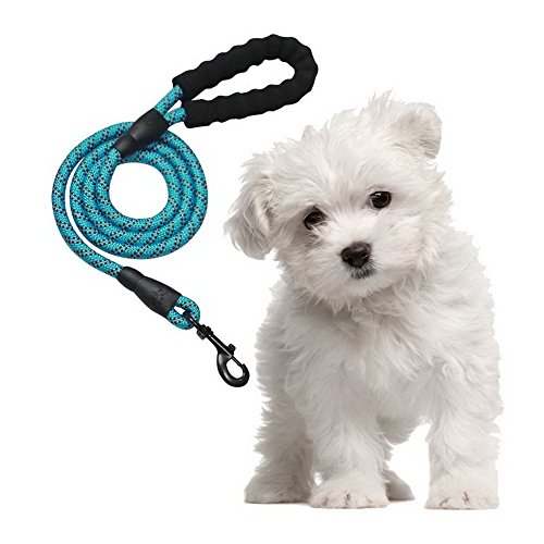 Litthing Correas para Perros Nylon con Mango Acolchado Ajustable Negro Sólido Reflectante 150 cm para Perros Grandes o Medianos Adecuado para Correr Senderismo Correr (Azul)