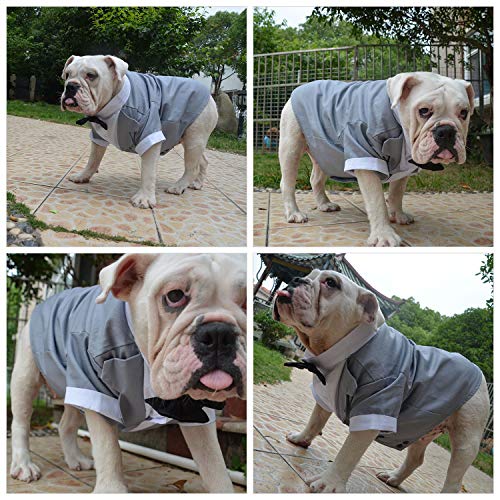 lovelonglong Ropa para Perros, Ropa de Perro, Traje, Esmoquin, con Pajarita, para Perro, Boda, Patty Trajes, Color Negro, Blanco, Perros pequeños, medianos y Grandes