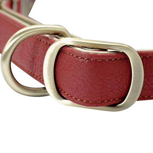 MAOBANG Collar Collar para Perros Collar para Mascotas Pitbull Collares Ajustables duraderos para Perros Perros pequeños medianos Verde Rojo Marrón, Verde, M