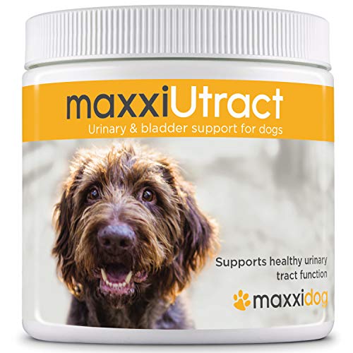 maxxidog - Suplemento Urinario y Vesical para Perros maxxiUtract - Ayuda a la Salud del Sistema Urinario, al Control de la Vejiga y la Recurrencia de ITU - con Árándanos – En Polvo 150 g