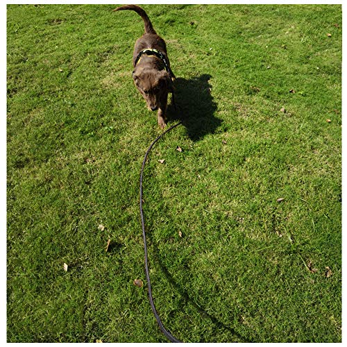 MayPaw Correa de Entrenamiento para Perros de 5 m / 10 m / 15 m - Línea de rastreo de Mascotas de retiro de Nylon para Trabajo Pesado - para Entrenamientos externos pequeños y medianos.