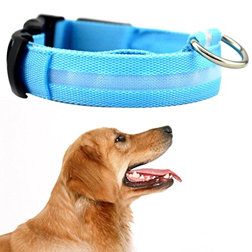 Mengonee Collar de perro Pet LED correa que destella perro Glow Neck Belt collares para mascotas fluorescente Cat cuello de la correa de la cuerda de la cuerda