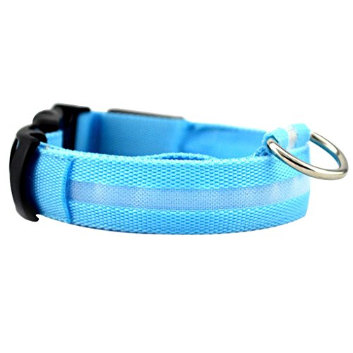 Mengonee Collar de perro Pet LED correa que destella perro Glow Neck Belt collares para mascotas fluorescente Cat cuello de la correa de la cuerda de la cuerda