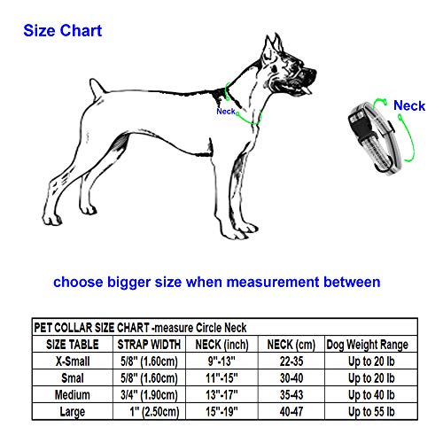 Mile High Life Night Tiras Reflectantes Dobles Collar de Perro de Nylon (Rosa Brillante, Large Neck 40cm-53cm -24.75KG)