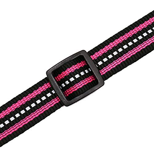 Mile High Life Night Tiras Reflectantes Dobles Collar de Perro de Nylon (Rosa Brillante, Large Neck 40cm-53cm -24.75KG)