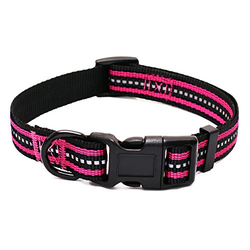 Mile High Life Night Tiras Reflectantes Dobles Collar de Perro de Nylon (Rosa Brillante, Large Neck 40cm-53cm -24.75KG)