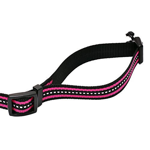 Mile High Life Night Tiras Reflectantes Dobles Collar de Perro de Nylon (Rosa Brillante, Large Neck 40cm-53cm -24.75KG)