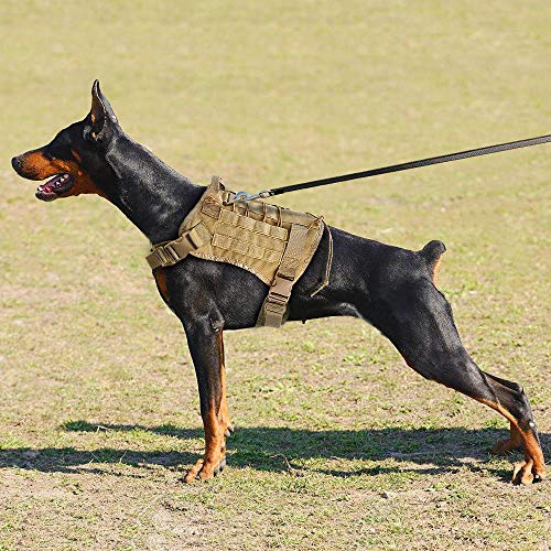 MMWW Pettorina per cani tattica Militare Grande Gilet per cani da compagnia Gilet da lavoro per cani Gilet in Nylon per cani con cordino Elastico per K9 Pastore tedesco-MH018SETBL_L