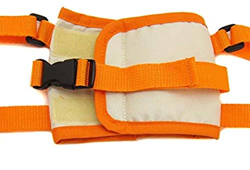 Morezi CareLift Rear-Only Lifting Harness, Dog Lifting Harness for Rear Legs 0435 - Orange - M