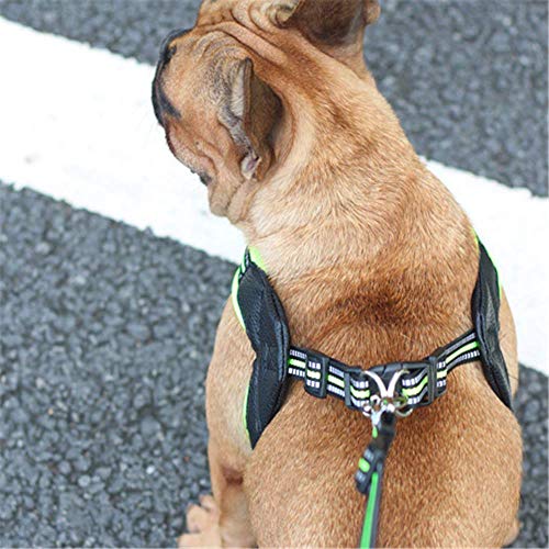 MYYXGS Arnés de Correas para Perros: Adecuado para Perros pequeños y medianos. No aprieta el Cuello con Rayas Reflectantes. Fácil de Usar. Perforación a Prueba de explosiones. Durable XS