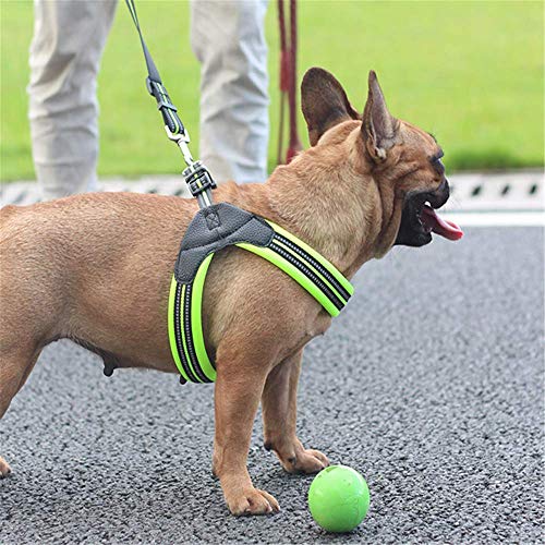 MYYXGS Arnés de Correas para Perros: Adecuado para Perros pequeños y medianos. No aprieta el Cuello con Rayas Reflectantes. Fácil de Usar. Perforación a Prueba de explosiones. Durable XS