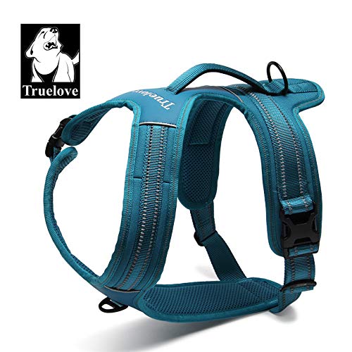 MYYXGS Chaleco para Perro con empuñadura Suave, Material Reflectante, Entrenamiento de Aventura, Potente Capa Exterior de Oxford para Perros más Grandes Blue M