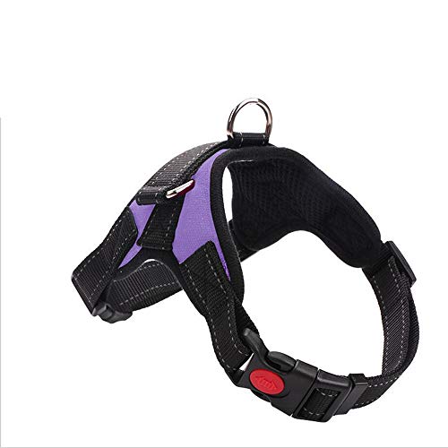 MYYXGS Correa para Perro: Collar de Perro Mediano y Grande Asiento del Respaldo del Pecho Sistema Reflectante Buena ventilación Cómoda Fácil de Desmontar XL